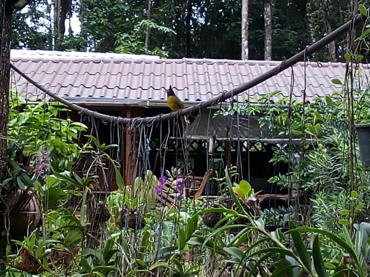 Koh Kood Little Hut Hotel Ko Kut ภายนอก รูปภาพ