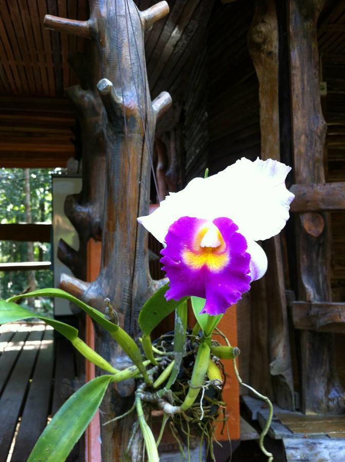 Koh Kood Little Hut Hotel Ko Kut ภายนอก รูปภาพ