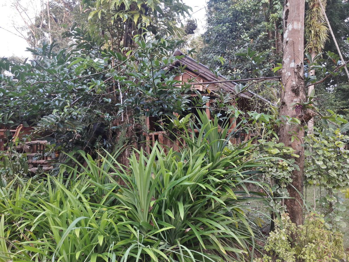 Koh Kood Little Hut Hotel Ko Kut ภายนอก รูปภาพ